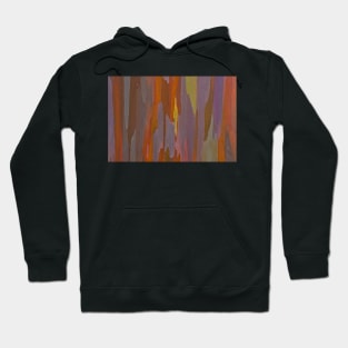 Rainbow Eucalyptus Tree Bark Hoodie